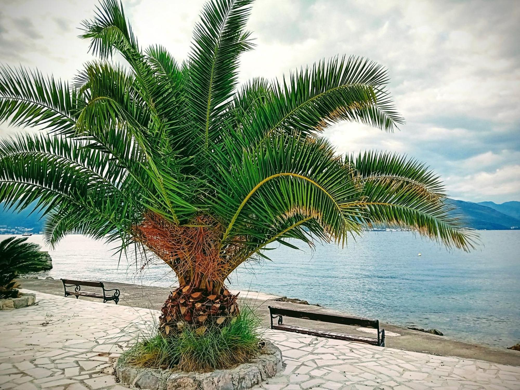 Studio Happy Montenegro Крашичі Екстер'єр фото